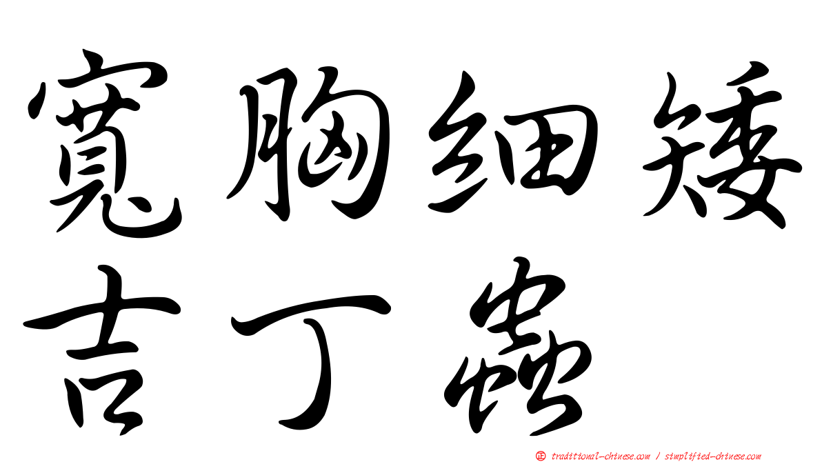 寬胸細矮吉丁蟲