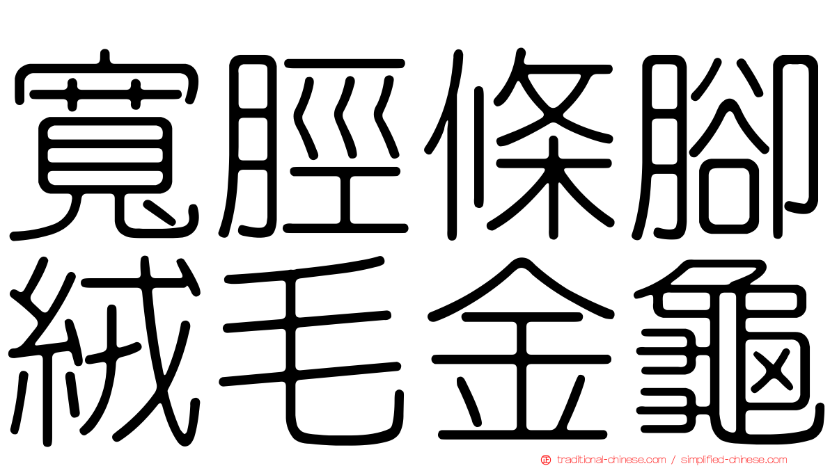 寬脛條腳絨毛金龜