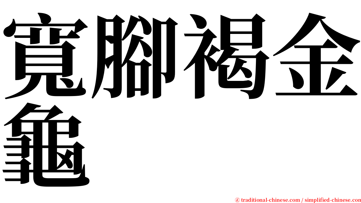 寬腳褐金龜 serif font