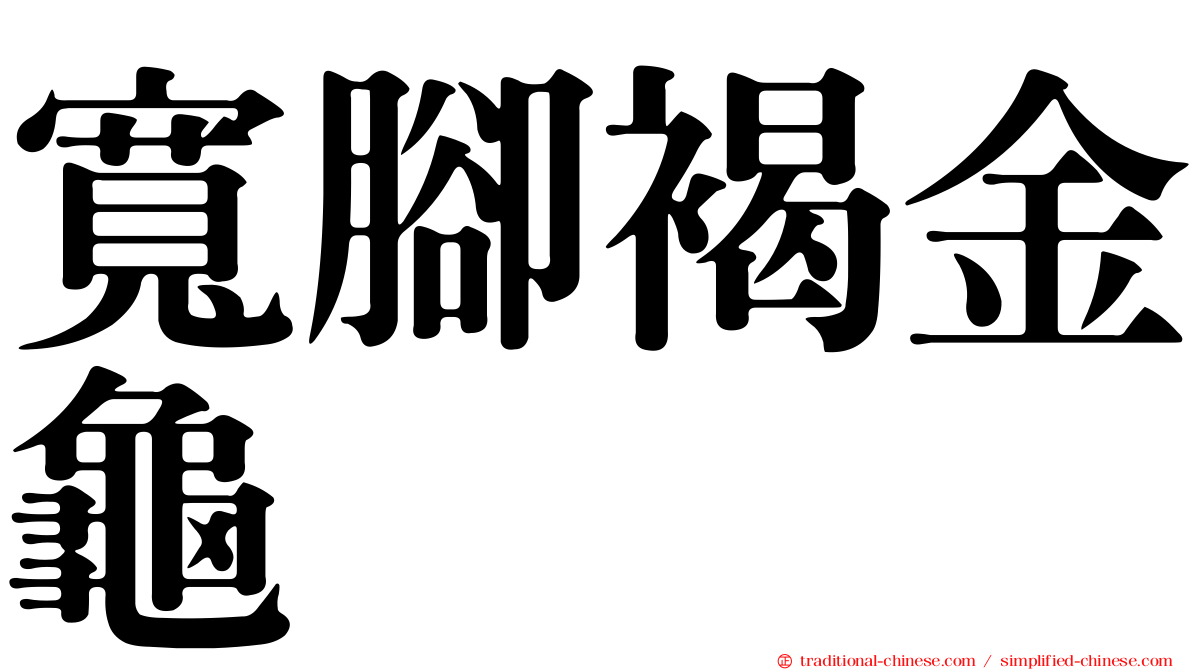 寬腳褐金龜