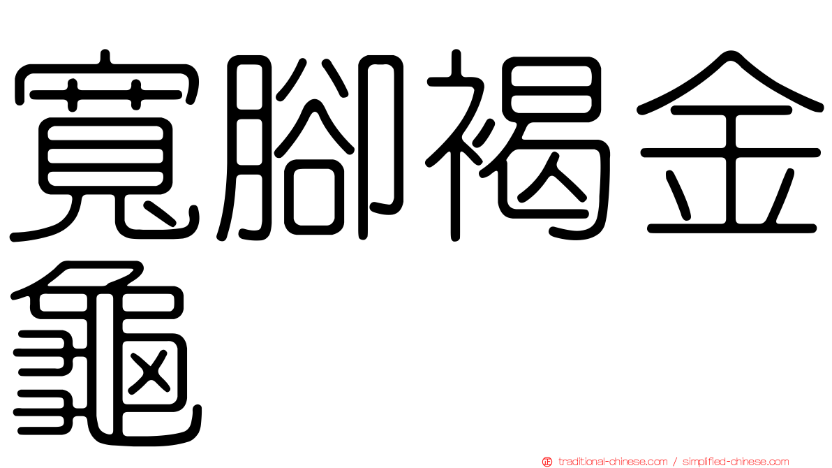 寬腳褐金龜