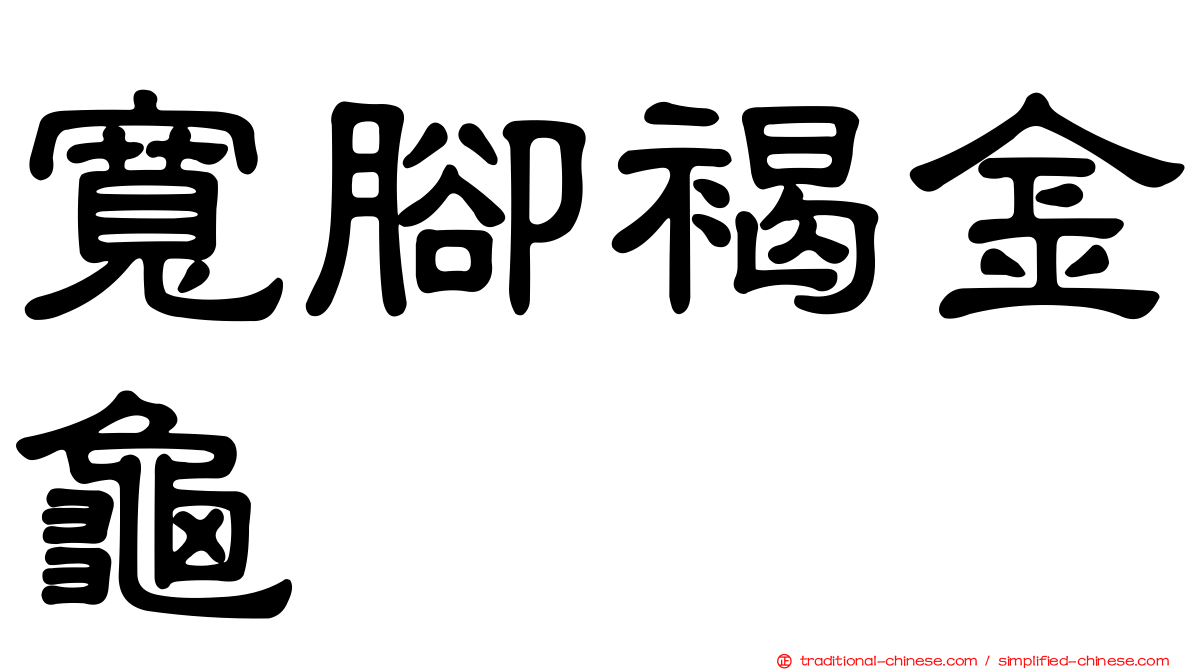寬腳褐金龜