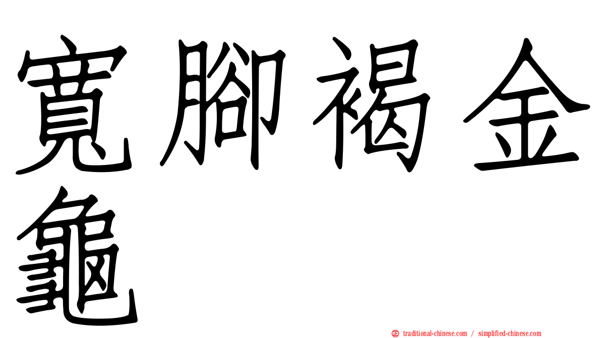 寬腳褐金龜