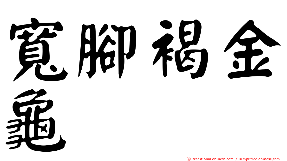 寬腳褐金龜