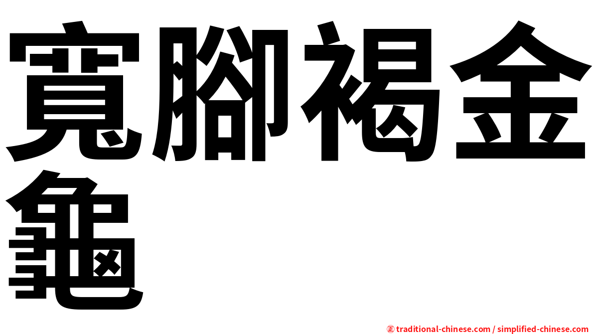 寬腳褐金龜