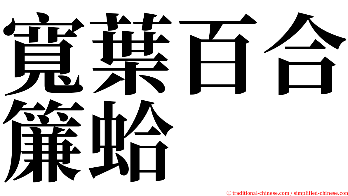 寬葉百合簾蛤 serif font