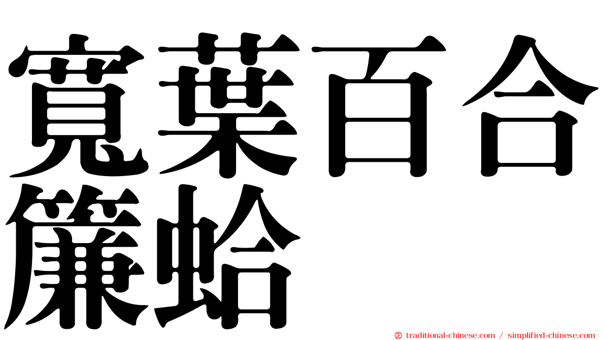 寬葉百合簾蛤
