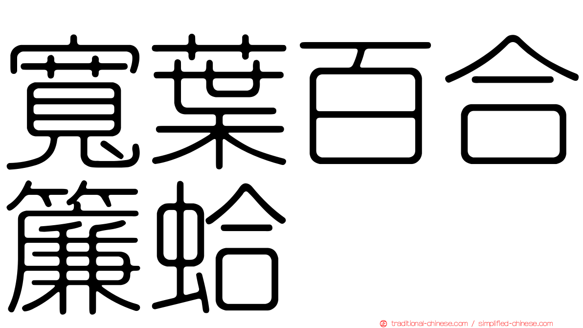 寬葉百合簾蛤
