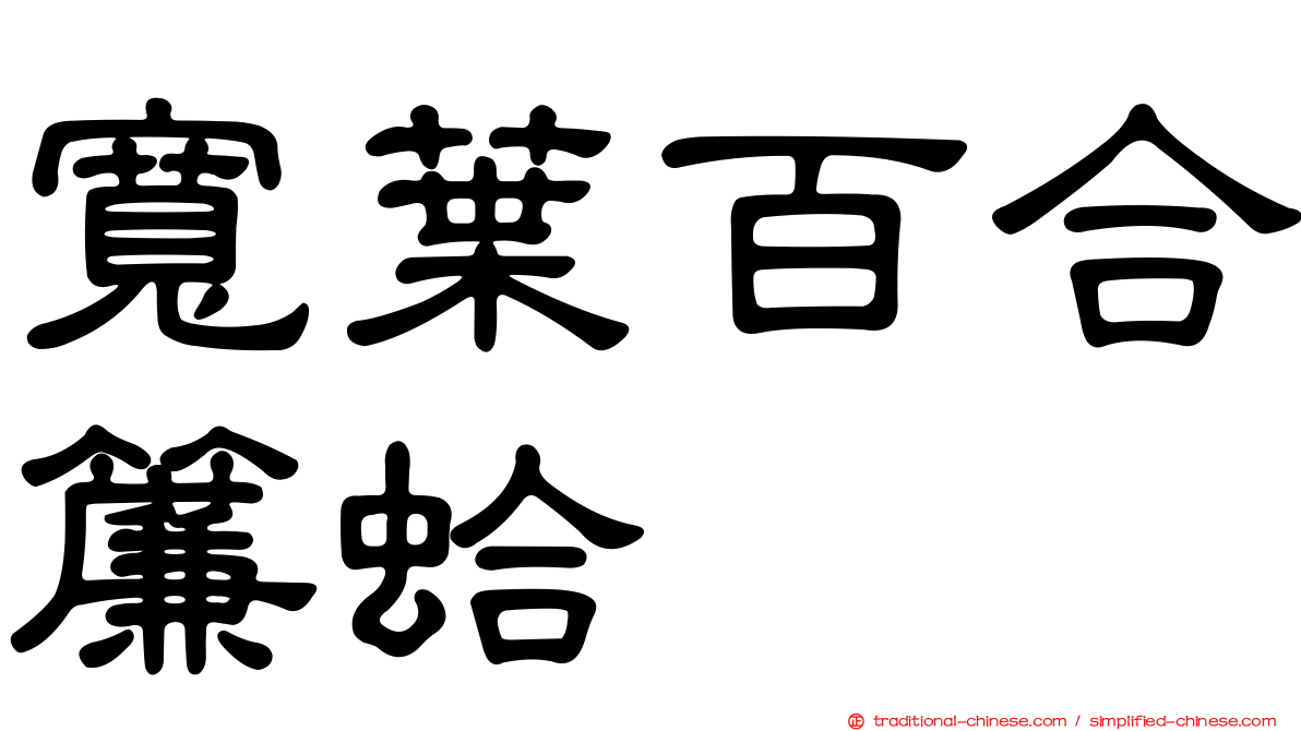 寬葉百合簾蛤