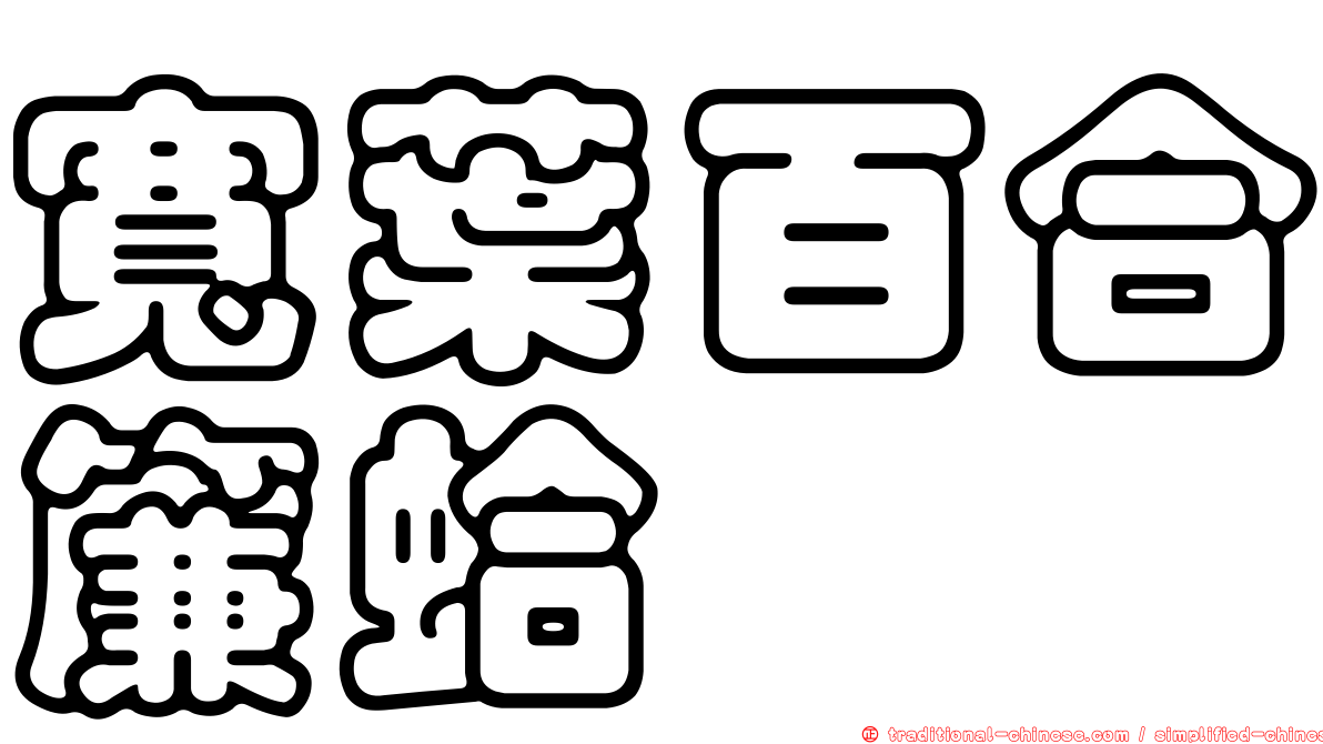 寬葉百合簾蛤