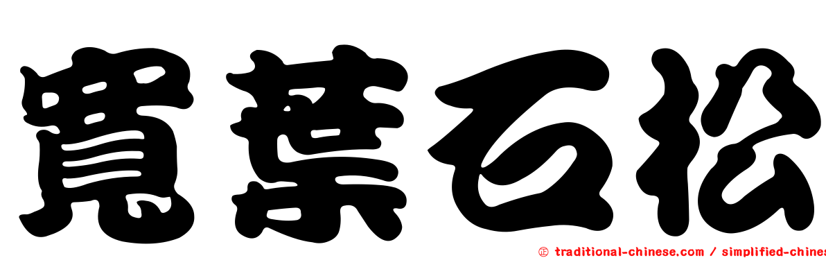 寬葉石松