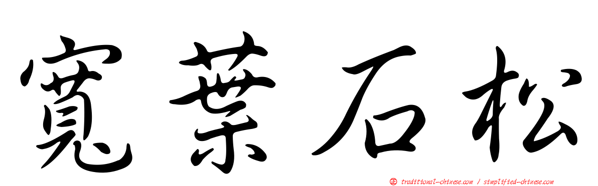 寬葉石松