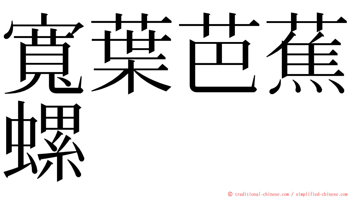 寬葉芭蕉螺 ming font