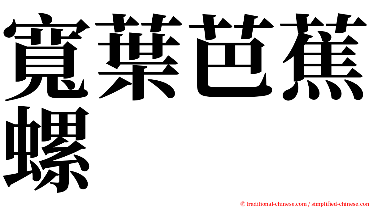 寬葉芭蕉螺 serif font