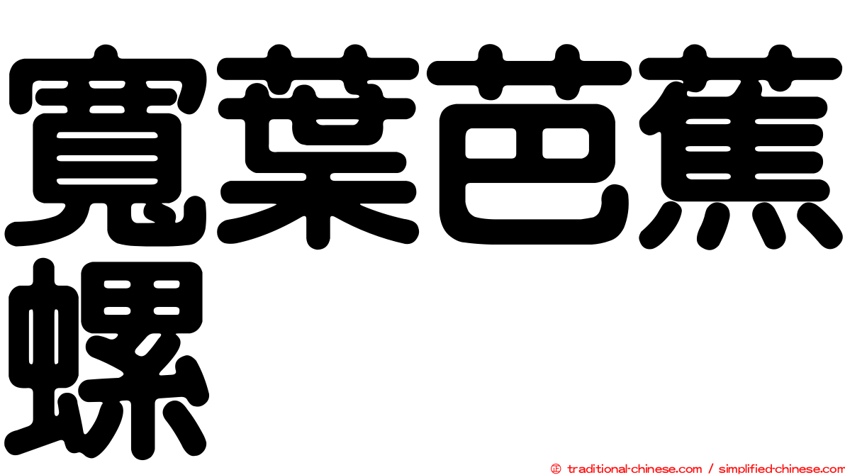 寬葉芭蕉螺