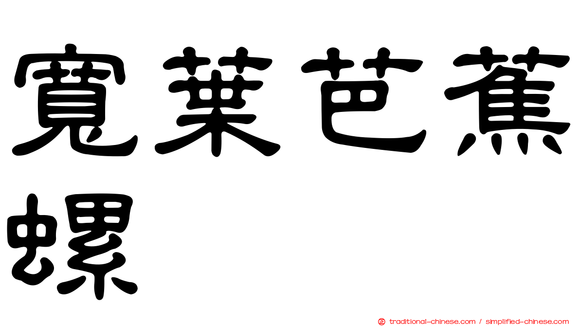 寬葉芭蕉螺