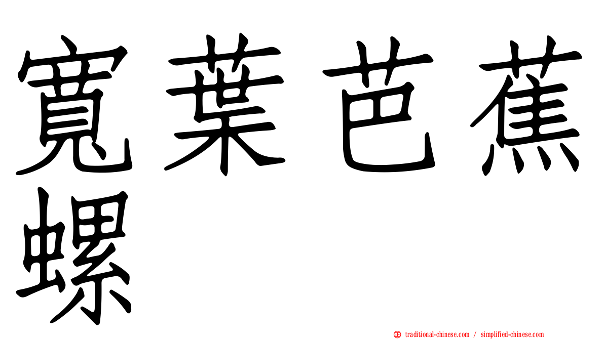 寬葉芭蕉螺