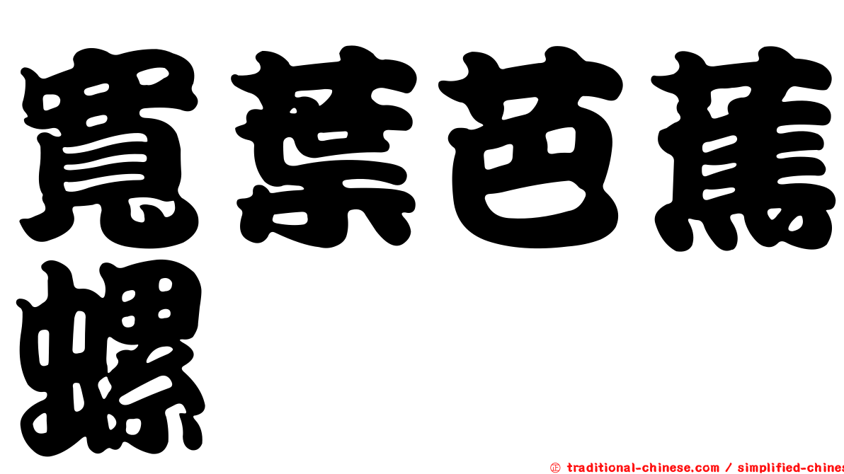 寬葉芭蕉螺
