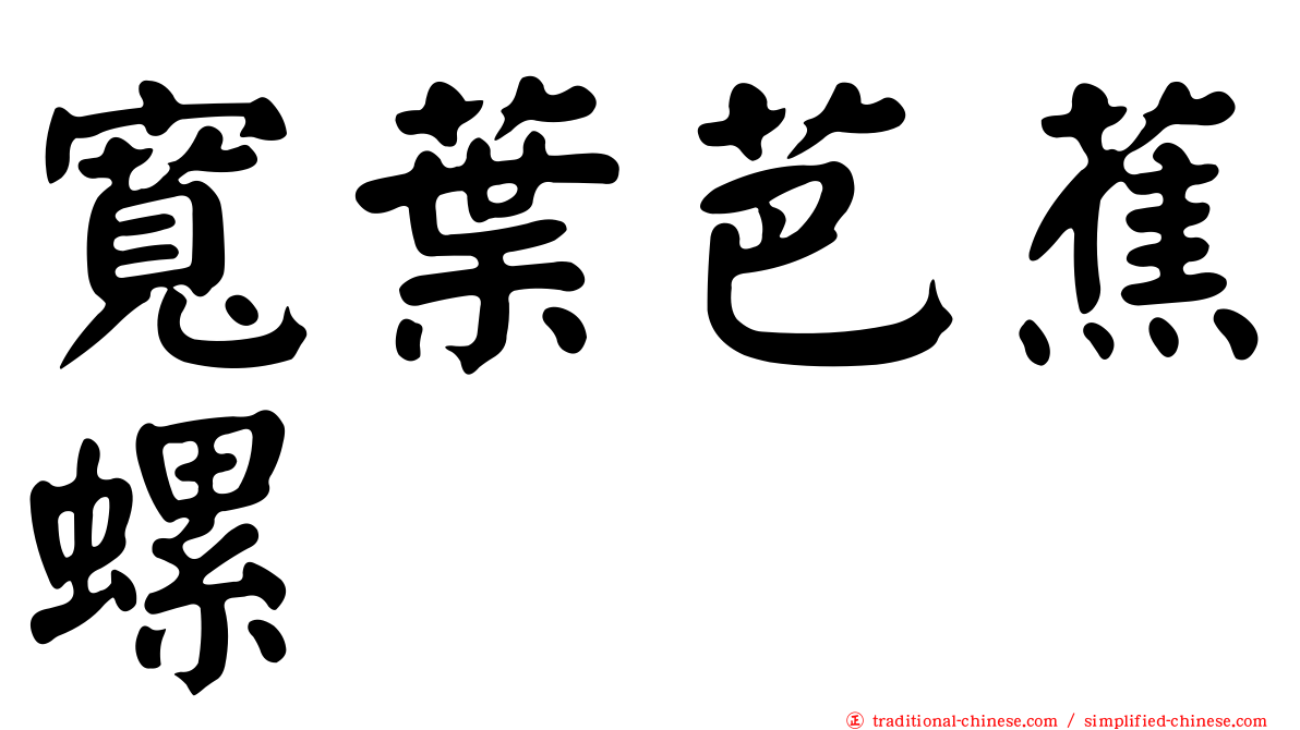 寬葉芭蕉螺
