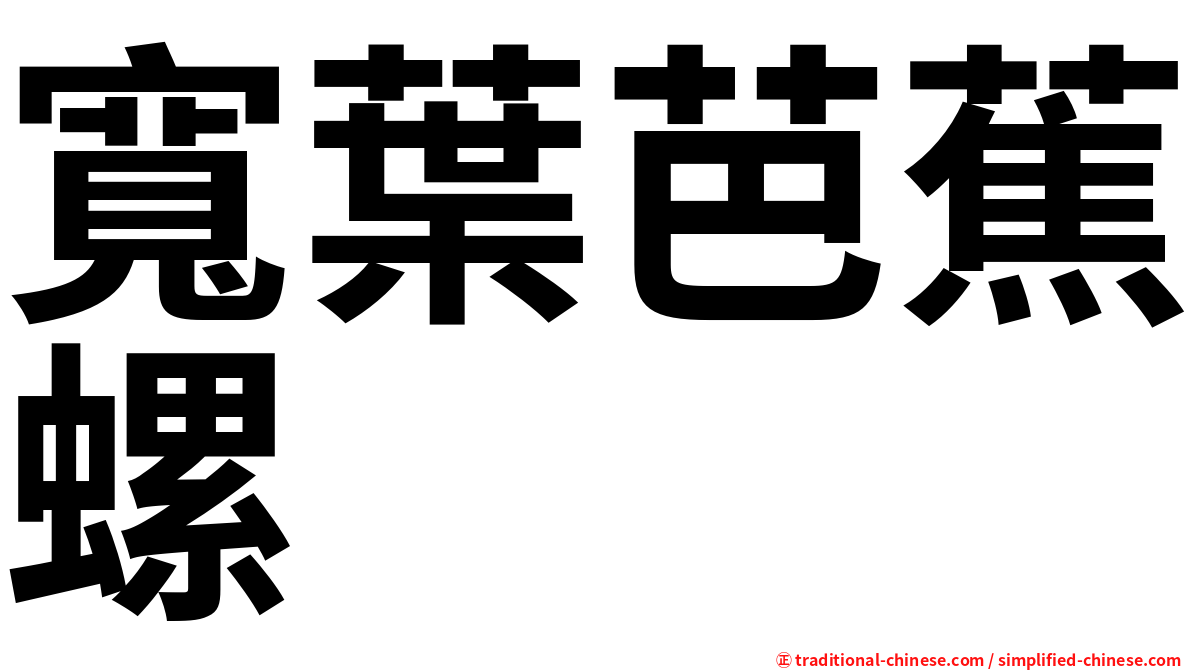 寬葉芭蕉螺