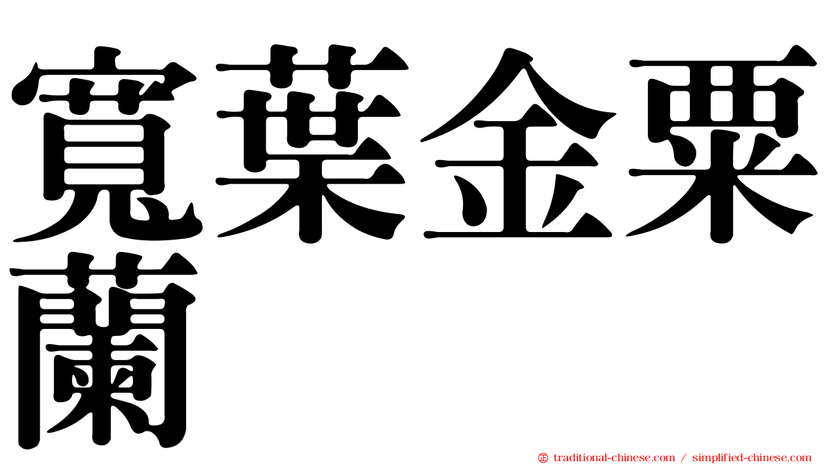 寬葉金粟蘭