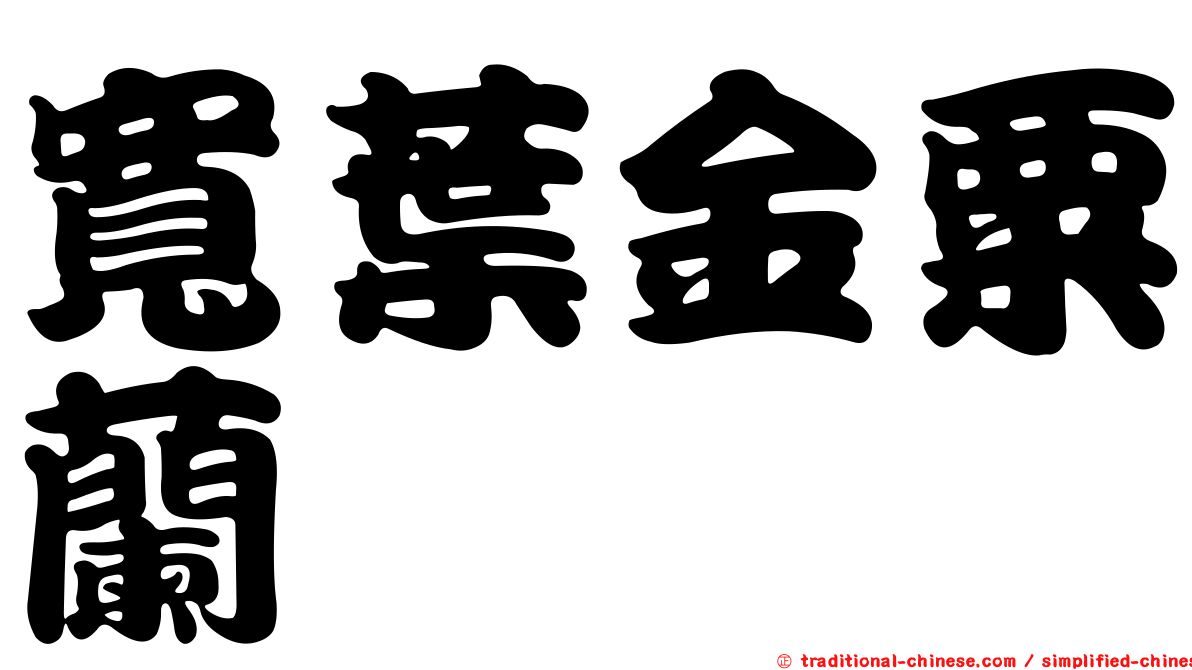 寬葉金粟蘭