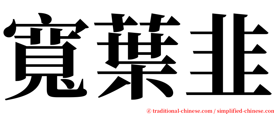 寬葉韭 serif font