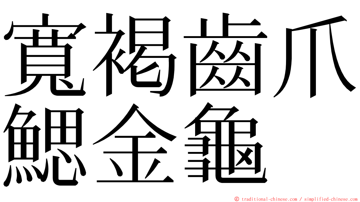 寬褐齒爪鰓金龜 ming font