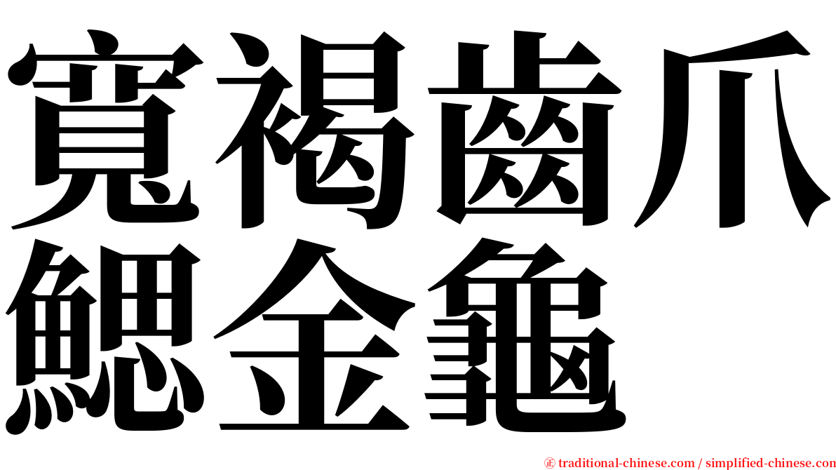 寬褐齒爪鰓金龜 serif font