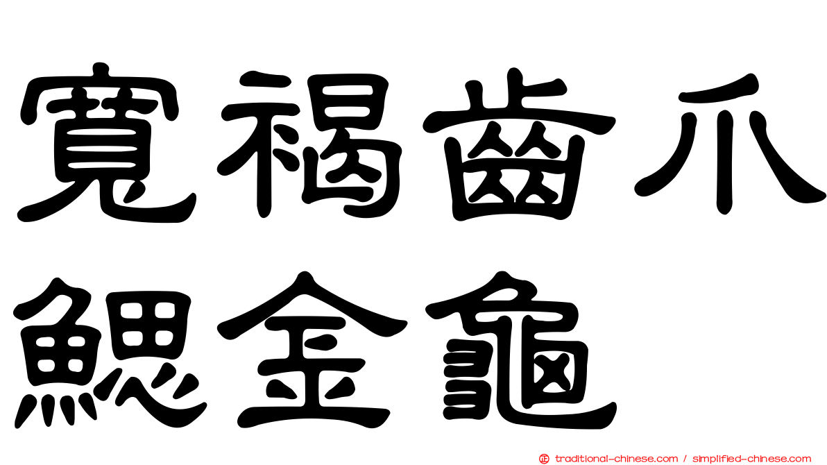 寬褐齒爪鰓金龜
