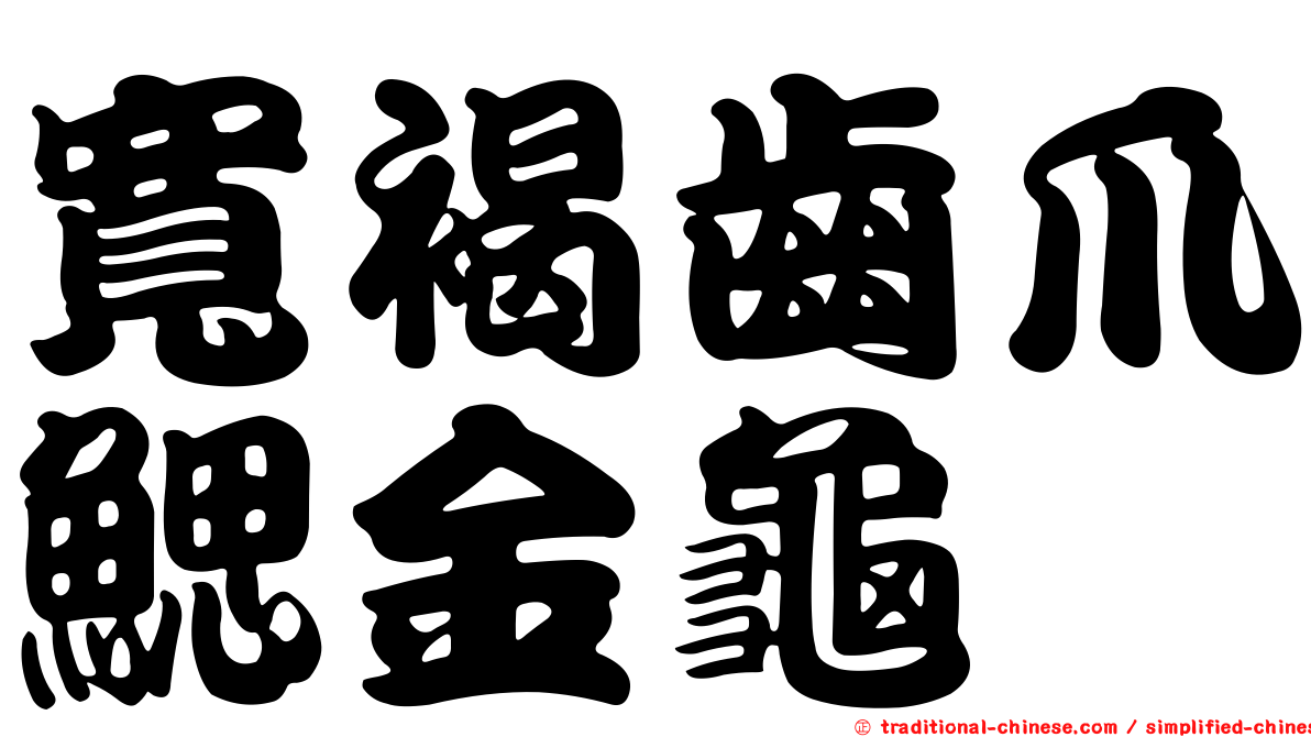 寬褐齒爪鰓金龜