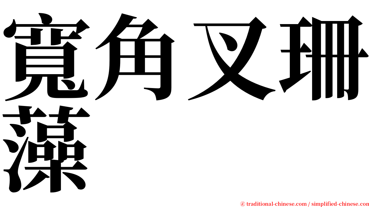 寬角叉珊藻 serif font
