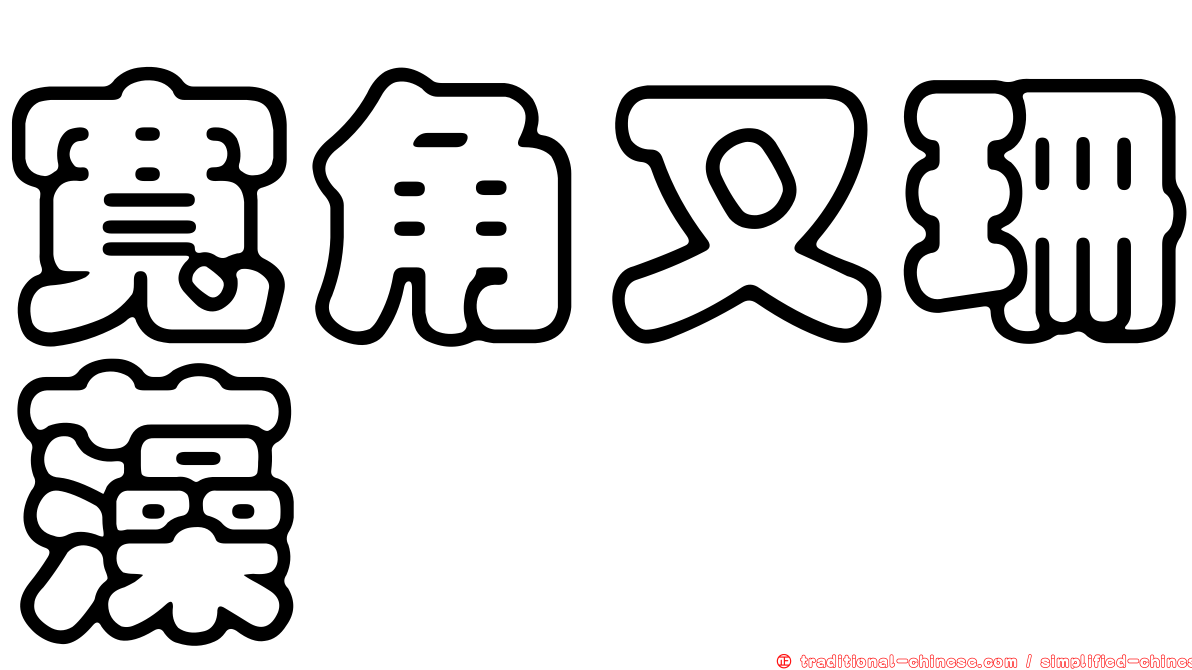 寬角叉珊藻