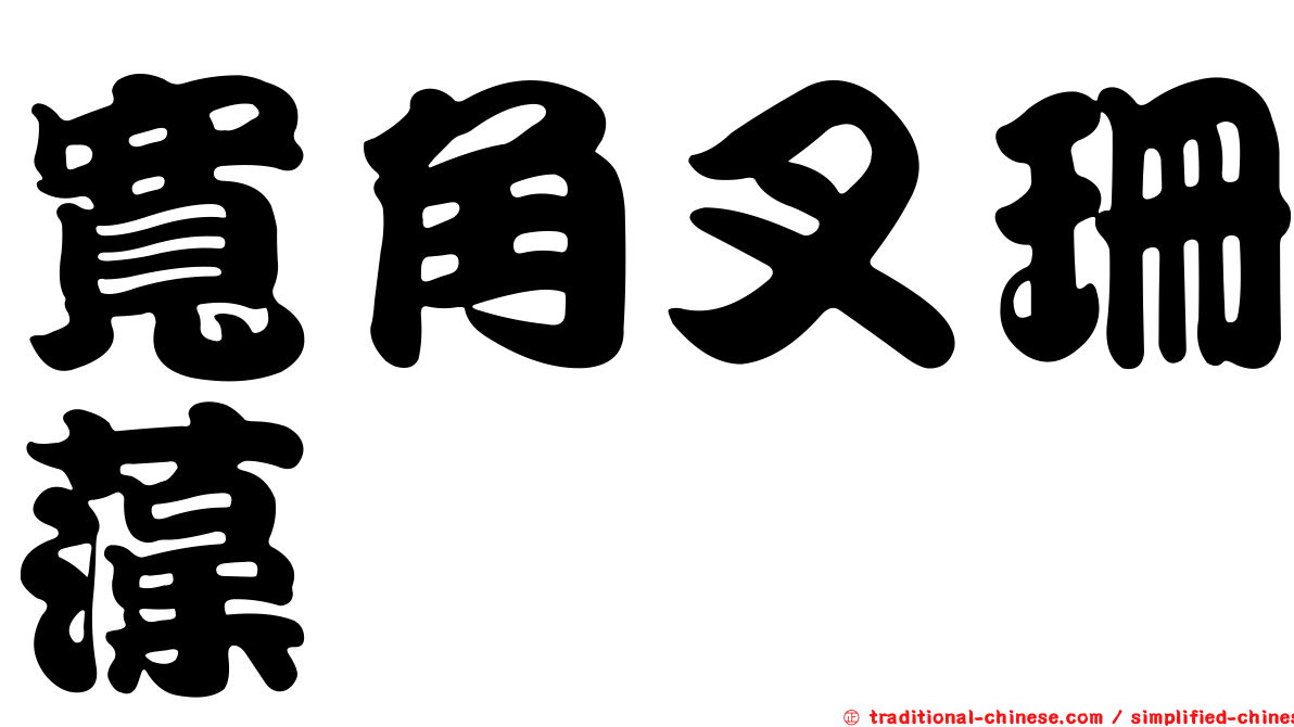 寬角叉珊藻