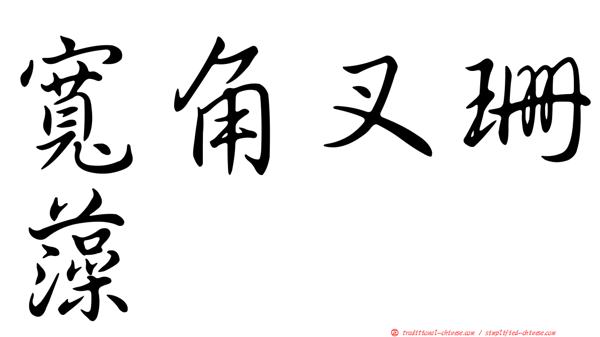 寬角叉珊藻