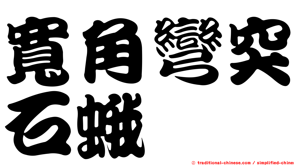 寬角彎突石蛾