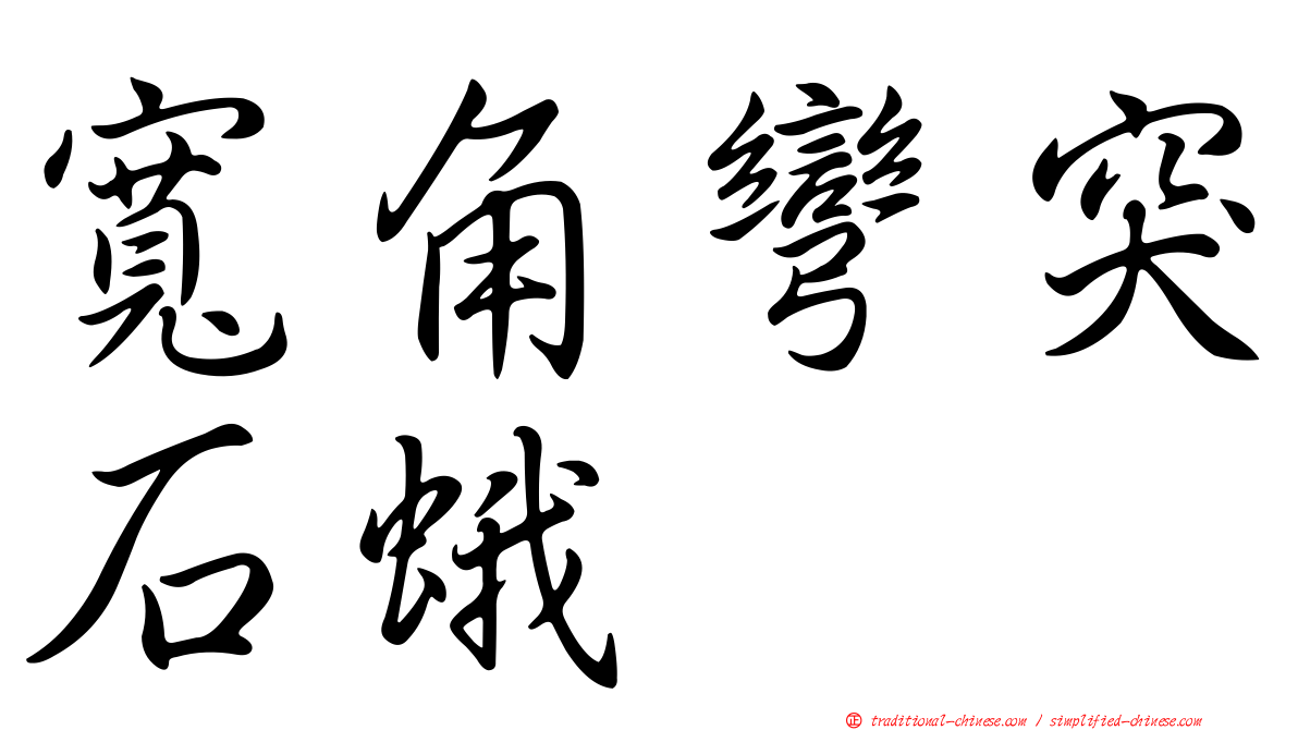 寬角彎突石蛾