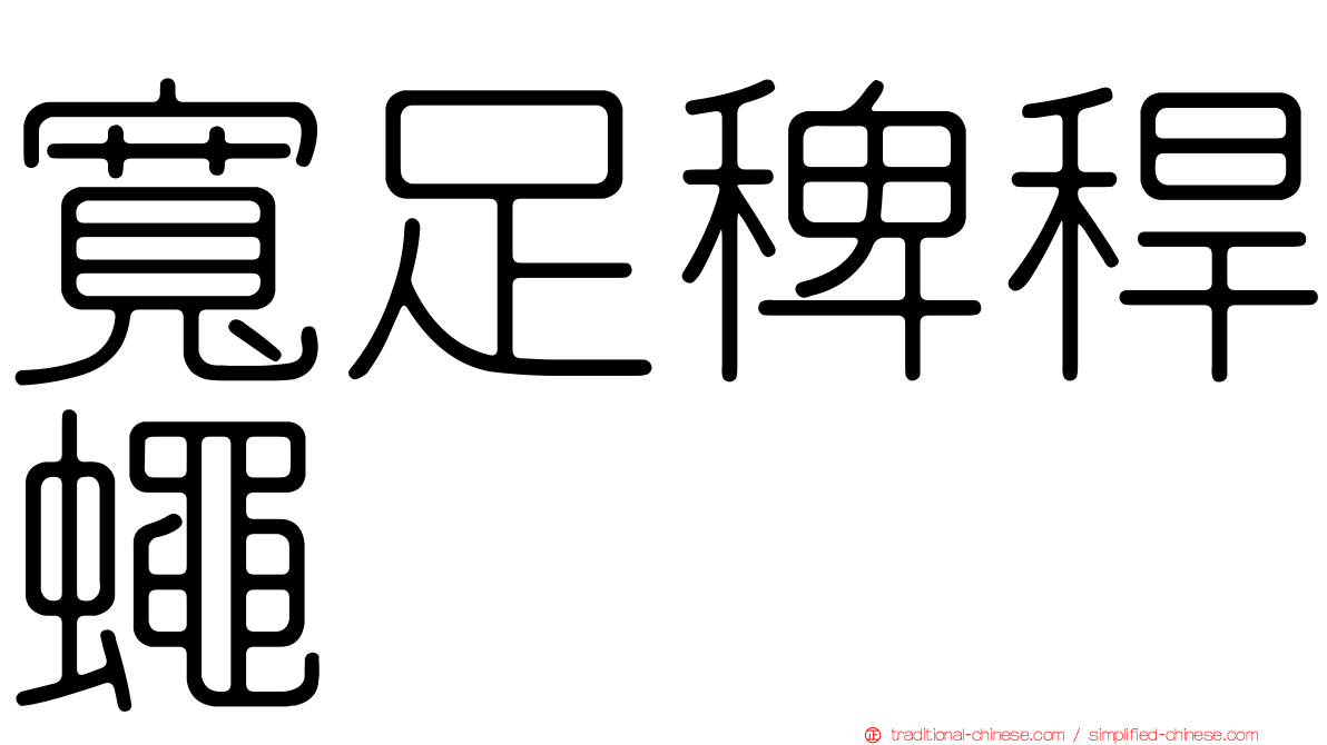 寬足稗稈蠅