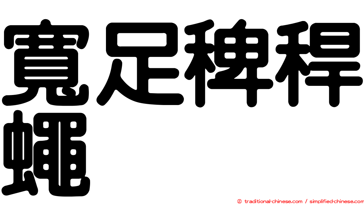 寬足稗稈蠅