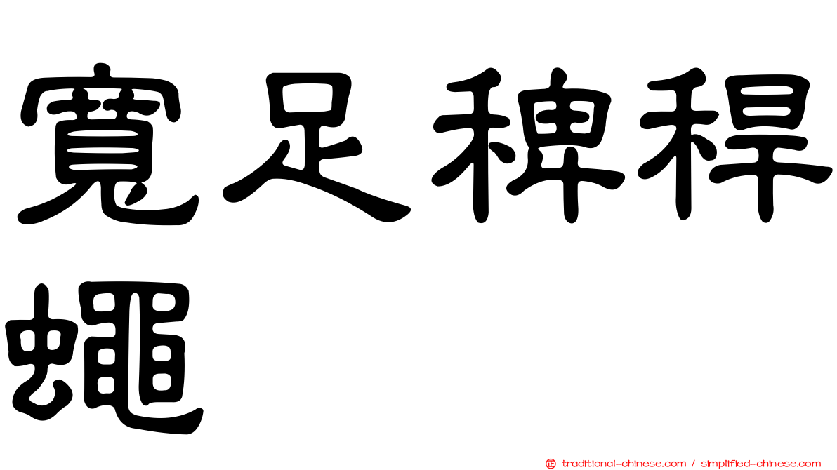 寬足稗稈蠅