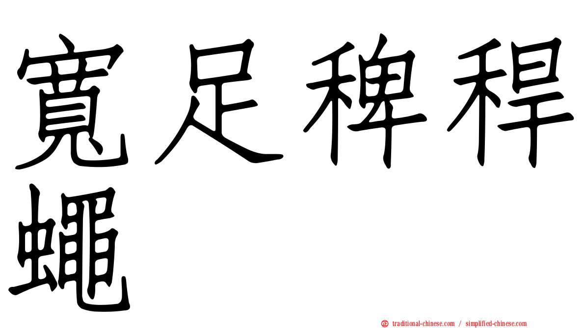 寬足稗稈蠅
