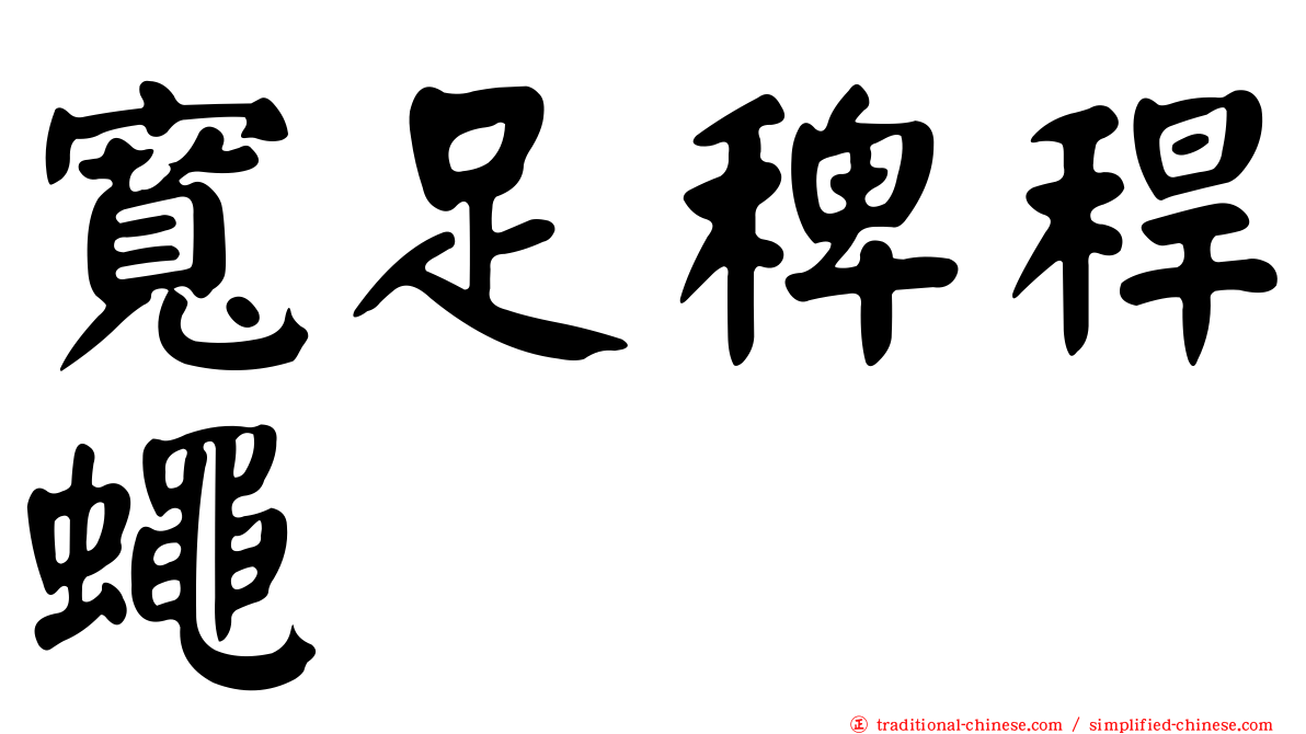 寬足稗稈蠅