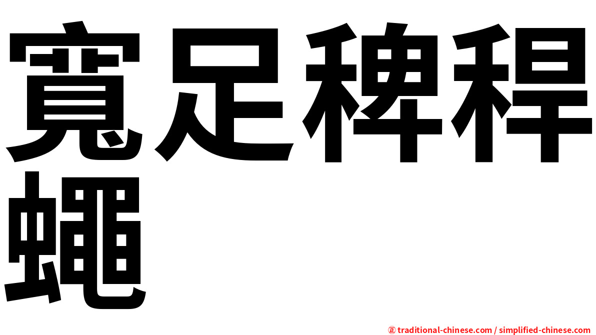 寬足稗稈蠅