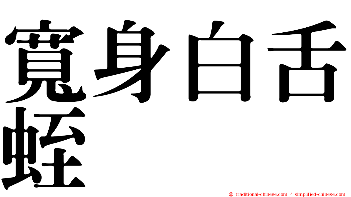 寬身白舌蛭
