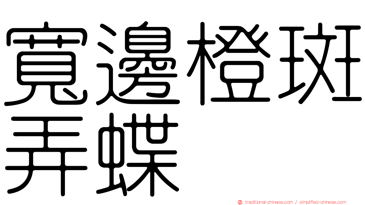 寬邊橙斑弄蝶