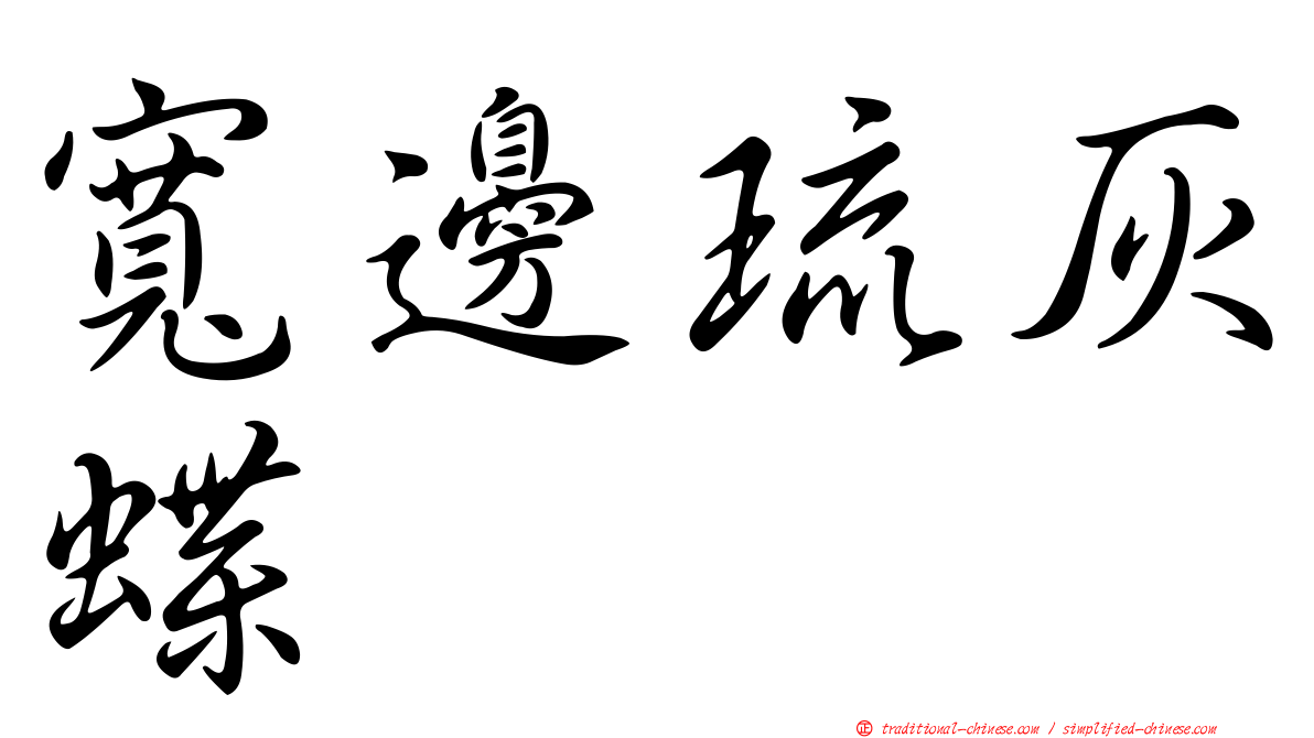寬邊琉灰蝶