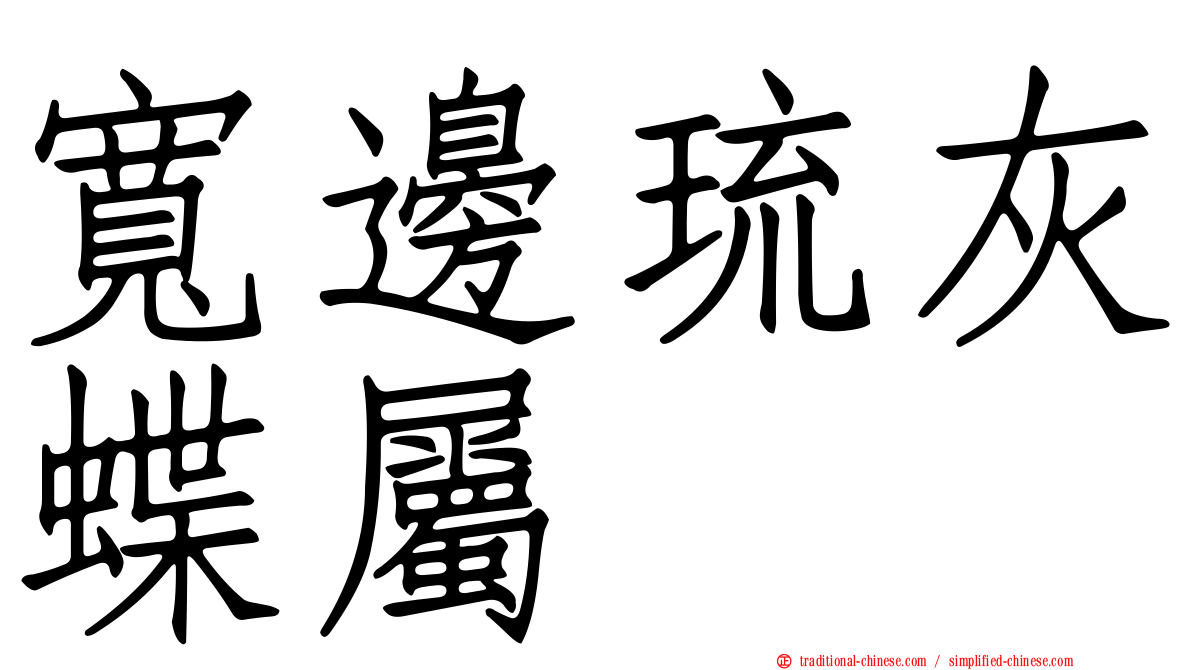 寬邊琉灰蝶屬
