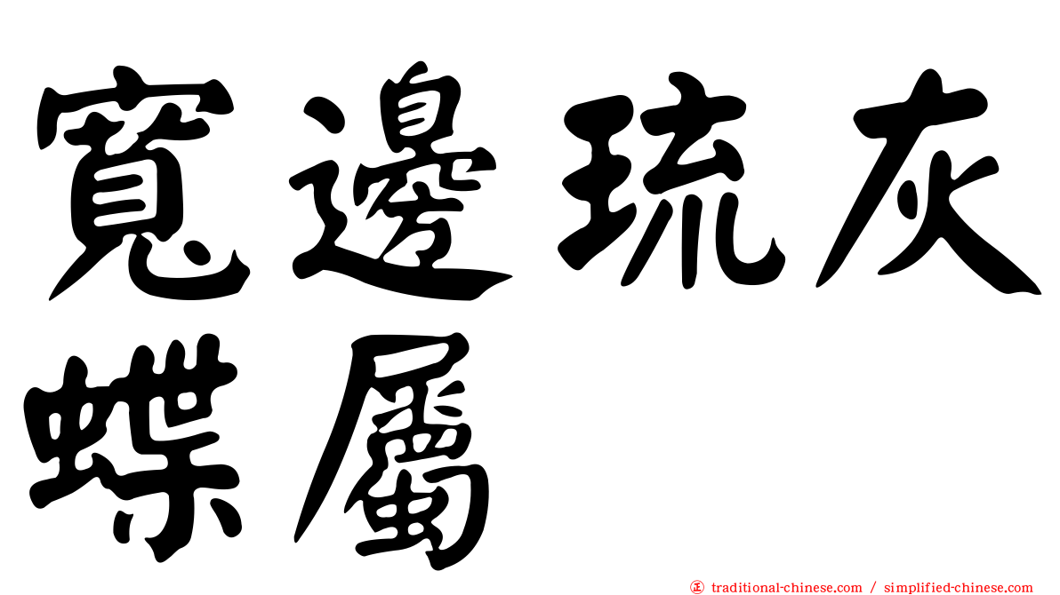 寬邊琉灰蝶屬