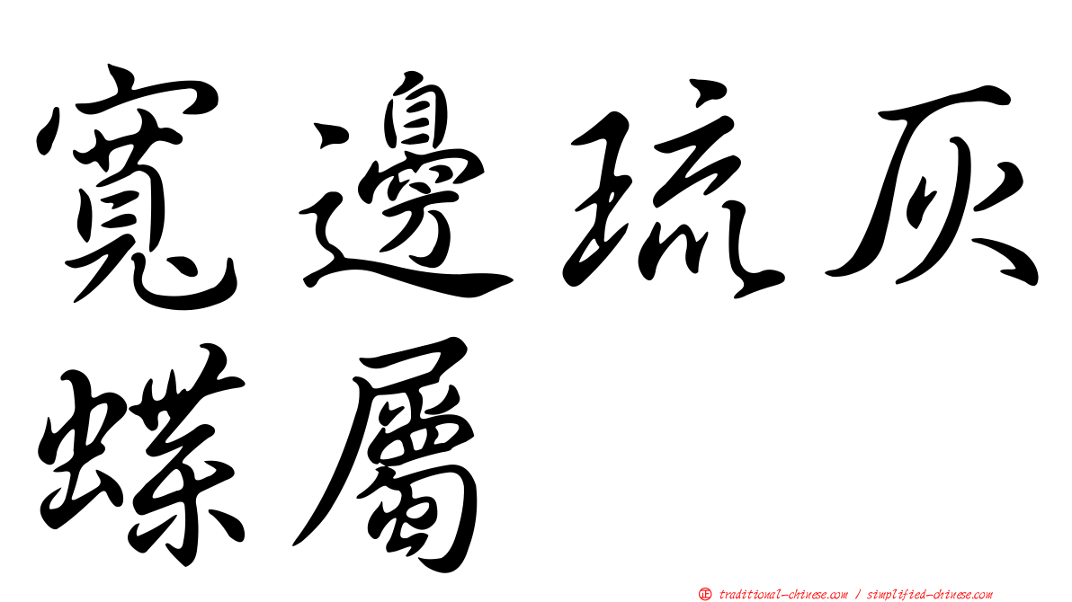 寬邊琉灰蝶屬