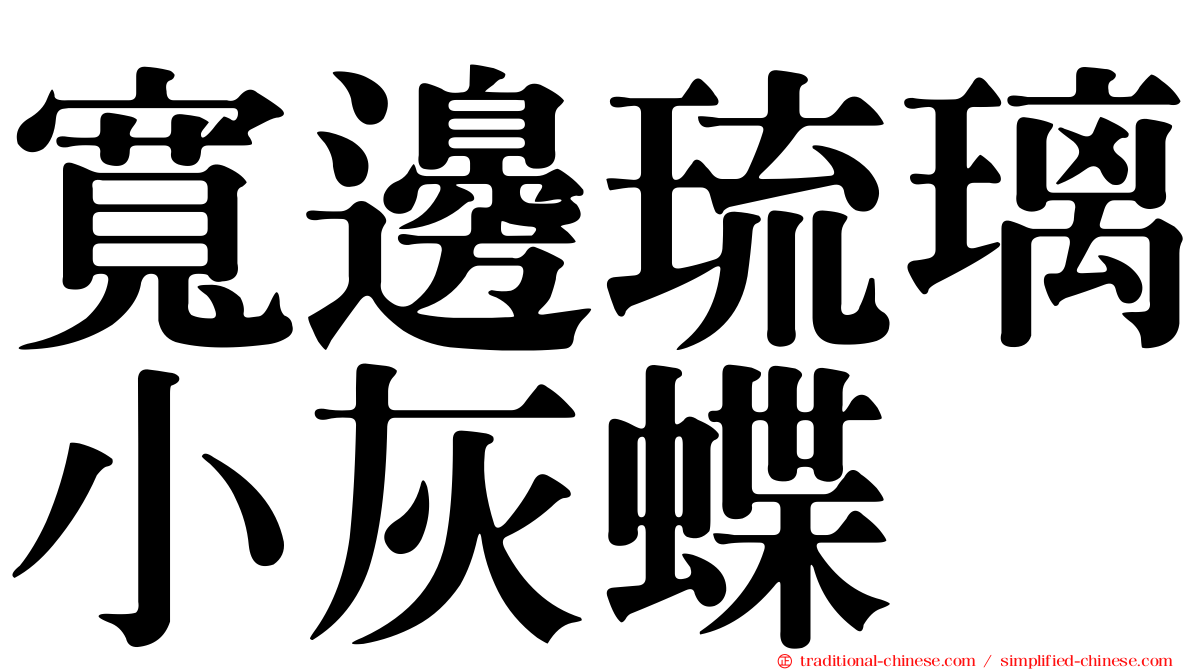 寬邊琉璃小灰蝶